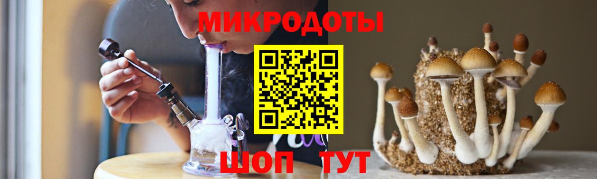 Галлюциногенные грибы Magic Shrooms  купить закладку  Псилоцибиновые грибы мицелий  Киров  Вход с VPN 